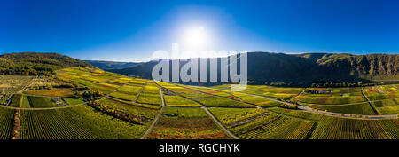 Germania, Cochem-Zell, Biedern, vigneti e Rueberberger Domherrenberg Foto Stock