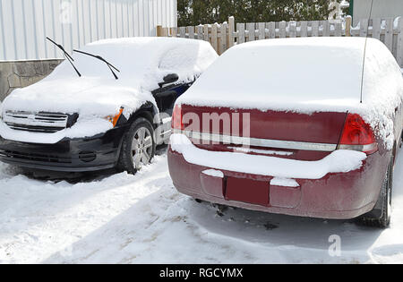 Due auto coperti in fresco di neve caduti durante un tipico canadese giornata invernale Foto Stock
