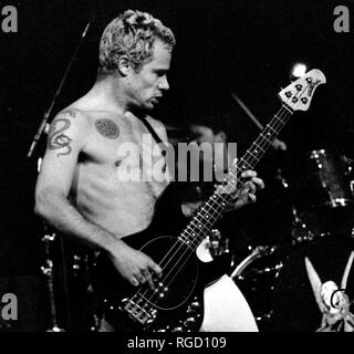 Red Hot Chili Peppers Flea (Michael Peter Balzary) effettuando in corrispondenza di grandi boschi , Mansfield ma,USA 1992 foto di bill belknap Foto Stock