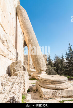 Distrutta la colonna appoggiata contro il tempio di Bacco" parete, Heliopolis rovine romane, Baalbek, Libano Foto Stock