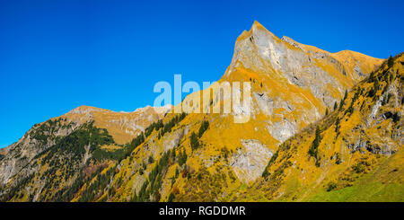 Bergwald Oytal im, ein Hochtal bei Oberstdorf, darüber das Himmelhorn, 2111m, Allgaeuer Alpen, Allgaeu, Bayern, Deutschland, Europa Foto Stock