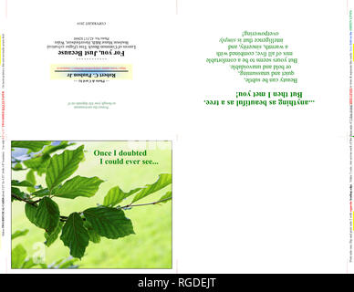 42,517.02860-una fotografia foto nota scheda due carte 5x4, 5 da 4 orizzontale su 11x8,5 carta (print cut piega), close up closeup faggio Verde foglie di albero Foto Stock