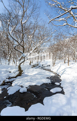 Incantevole paesaggio invernale in Naejangsan national park, la Corea del Sud. Foto Stock