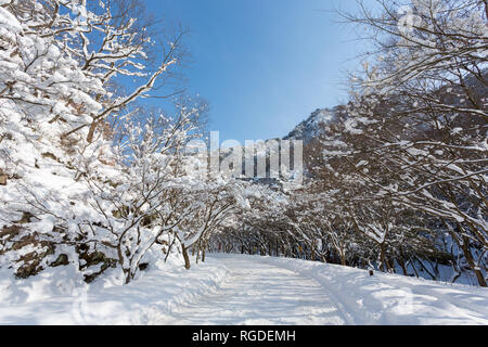 Incantevole paesaggio invernale in Naejangsan national park, la Corea del Sud. Foto Stock