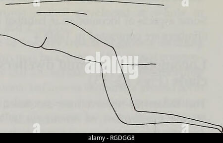 . Bollettino del Museo di Storia Naturale e zoologia. 82 E.N. ARNOLD. Si prega di notare che queste immagini vengono estratte dalla pagina sottoposta a scansione di immagini che possono essere state migliorate digitalmente per la leggibilità - Colorazione e aspetto di queste illustrazioni potrebbero non perfettamente assomigliano al lavoro originale. Museo di Storia Naturale (Londra). Andover : intercettare Foto Stock