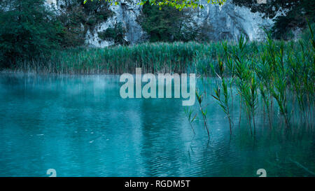 La cascata e il lago entro il colorato Parco Nazionale di Plitvice in Croazia Foto Stock