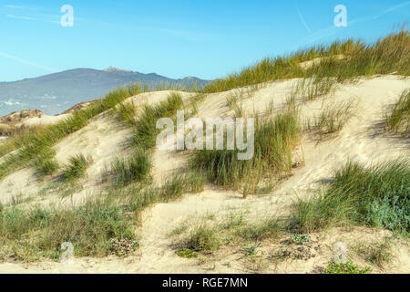 Vista delle dune di sabbia sulla spiaggia di Guincho vicino alla costa Atlantica. Paesaggio della giornata di sole e cielo blu . Cascais. Portogallo Foto Stock