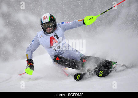 Stefano lordo (ITA), azione, azione unica, immagine singola, tagliate, corpo pieno Shot, figura intera. Sci alpino, gara, 79. Hahnenkamm race 2019, slalom speciale maschile, uomini, Kitzbuehel, Hahnenkamm, 26.01.2019. | Utilizzo di tutto il mondo Foto Stock