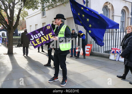 Londra REGNO UNITO. Il 29 gennaio 2019. Un UKIP Pro Brexit sostenitore dimostra al di fuori del Parlamento europeo prima dell'arrivo del primo ministro Theresa Maggio il giorno Primo Ministro Theresa Maggio che affronta molti dei principali emendamenti Brexit compresi Sir Brady l'emendamento per sostituire il fermo antiritorno irlandese e la modifica del lavoro di ritardare Brexit e articolo 50 se nessun accordo viene raggiunto dal 26 febbraio Credito: amer ghazzal/Alamy Live News Foto Stock