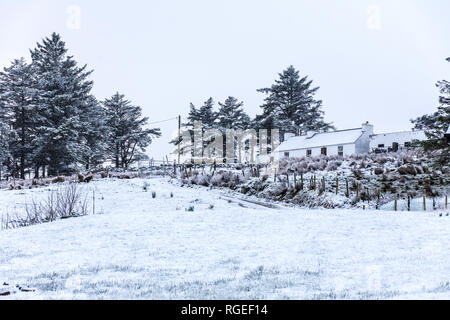 Killybegs, County Donegal, Irlanda. Il 29 gennaio 2019. La caduta della neve sulla costa nord-ovest con più previsto per tutta la notte. Credito: Richard Wayman/Alamy Live News Foto Stock