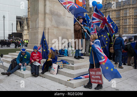 Londra, Regno Unito. Il 29 gennaio, 2019.Il giorno che il Regno Unito ancora una volta il Parlamento voti su un emendamento del Primo Ministro Theresa Maggio Brexit della trattativa che richiede un altro negoziato con l'UE a Bruxelles, pro-UE manifestanti raccogliere al di fuori della Camera dei Comuni, 29 gennaio 2019, in Westminster, Londra, Inghilterra. Foto di Richard Baker / Alamy Live News. Foto Stock