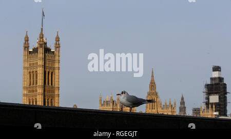 Londra, Regno Unito. 29 gen, 2019. Foto scattata a gennaio 29, 2019 mostra le case del Parlamento davanti alla trattativa Brexit emendamenti voti nella Camera dei Comuni di Londra, Gran Bretagna. Credito: Han Yan/Xinhua/Alamy Live News Foto Stock