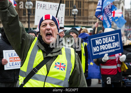 Londra, Regno Unito. Il 29 gennaio, 2019. Pro-Brexit manifestanti al di fuori del Parlamento il giorno delle votazioni in Aula dei comuni sulle modifiche del Primo Ministro Brexit finale accordo di ritiro che potrebbe determinare il contenuto della prossima fase di negoziati con l'Unione europea. Credito: Mark Kerrison/Alamy Live News Foto Stock