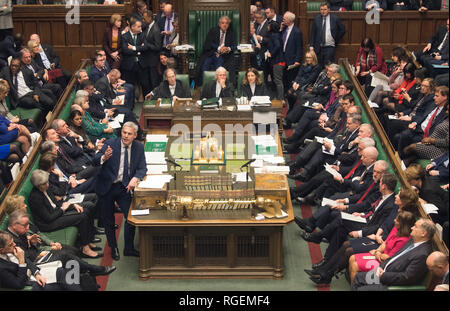 Londra, Gran Bretagna. 29 gen, 2019. British Brexit Segretario Stephen Barclay (C-L, anteriore) è visto durante il voto sulla trattativa Brexit emendamenti alla Camera dei Comuni di Londra, Gran Bretagna, il 29 gennaio, 2019. Pochi giorni dopo la sofferenza il più grande umiliazione in British storia politica, Primo Ministro Theresa Maggio era più vicina che mai Martedì a raggiungendo infine un fantomatico Brexit trattativa. Da 317 voti a 301, MPs in House of Commons ha dato il proprio appoggio a maggio la trattativa che hanno rifiutato la prima di questo mese, fornendo le modifiche vengono apportate alla cosiddetta Irish fermo problema di confine. (Xinhua/UK/Pa Credito: Xinh Foto Stock