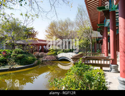 Cinese tradizionale Garden Design con ponte in pietra sopra un piccolo stagno circondato da alberi e fiori Foto Stock