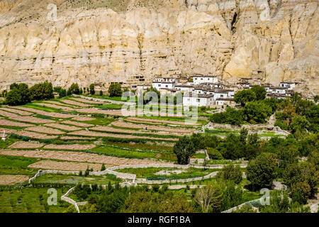 Vista aerea sul villaggio e dintorni agricoli con il grano saraceno e campi di orzo in Mustang Superiore Foto Stock