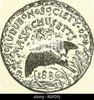 . Il bollettino del Massachusetts Audubon Society. Gli uccelli; la conservazione della natura. Volume II. Gennaio 1919 Numero 9. Emesse mensilmente dal Massachusetts Audubon Society, Inc. (Domanda di iscrizione di seconda classe materia a post-office a Boston in sospeso.) Bollettino del Massachusetts Audubon Society. Per la protezione degli uccelli 66 Newbury Street, Boston, Mass. Il Bollettino sarà cronaca gli affari della società di mese in mese, saranno gli elementi del report di interesse riguardanti gli uccelli, come la comparsa di specie rare localmente, non mancherà di tenere i suoi lettori informati di quanto stato o federale legisla Foto Stock