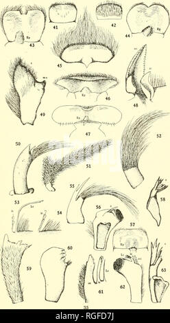 . Bollettino del Lloyd Biblioteca di Botanica, la farmacia e la Materia Medica. La botanica; farmacia; entomologica; funghi. Piastra IV. Si prega di notare che queste immagini vengono estratte dalla pagina sottoposta a scansione di immagini che possono essere state migliorate digitalmente per la leggibilità - Colorazione e aspetto di queste illustrazioni potrebbero non perfettamente assomigliano al lavoro originale. Lloyd Library and Museum; Lloyd Biblioteca di Botanica, la farmacia e la Materia Medica. Cincinnati, Lloyd Library and Museum Foto Stock