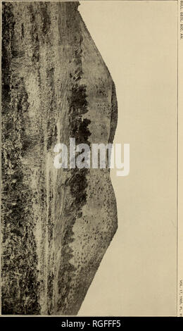 . Bollettino della Geological Society of America. La geologia. . Si prega di notare che queste immagini vengono estratte dalla pagina sottoposta a scansione di immagini che possono essere state migliorate digitalmente per la leggibilità - Colorazione e aspetto di queste illustrazioni potrebbero non perfettamente assomigliano al lavoro originale. Geological Society of America. [New York : La società] Foto Stock