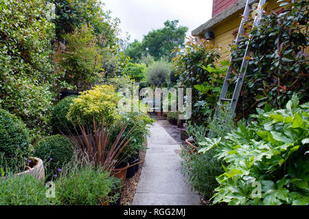 Urban garden center, Italian Garden Center, Turnham Green, Londra Foto Stock