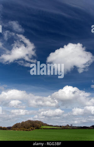 Salisbury Plain Wiltshire un area di chalk downland utilizzati per seminativi. Foto Stock