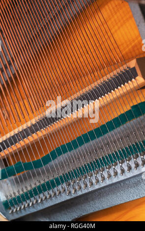 Vista ravvicinata di stringhe dentro il pianoforte. Foto Stock