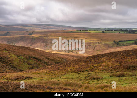 Paesaggio del Parco Nazionale di Exmoor tra Simonsbath e Ponte Hillsford, Devon, Inghilterra, Regno Unito Foto Stock