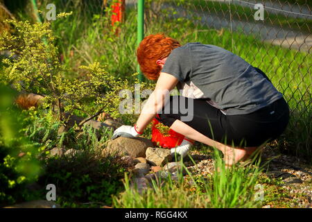 Una donna si nasconde la primavera nel giardino. Pulisce dal vecchio e appassiti rametti. Foto Stock