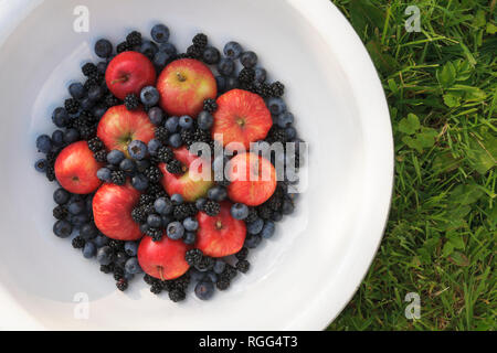 Mele, more e mirtilli in un colore bianco porcellana ciotola. Home frutta dal giardino. Foto Stock