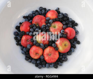 Mele, more e mirtilli in un colore bianco porcellana ciotola. Home frutta dal giardino. Foto Stock