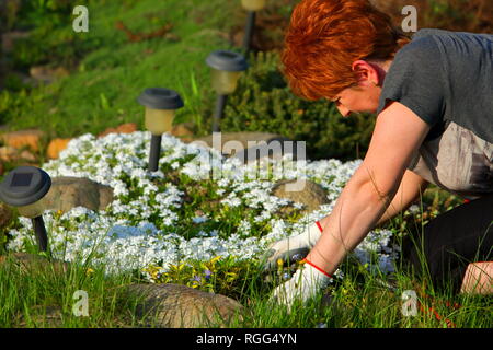 Una donna si nasconde la primavera nel giardino. Pulisce dal vecchio e appassiti rametti. Foto Stock