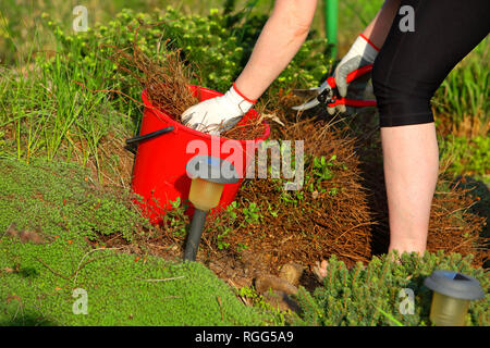 Una donna si nasconde la primavera nel giardino. Pulisce dal vecchio e appassiti rametti. Foto Stock