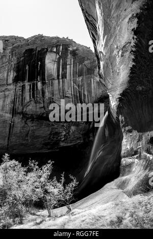 Cascata in bianco e nero a basso Calf Creek in grande scala Escalante National Park nello Utah Foto Stock