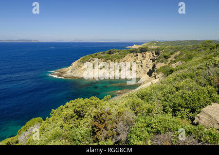 Costa mediterranea e costa al Pointe au Cognet Port-Cros o di Port Cros Parco Nazionale Île d'Hyeres Var Costa Azzurra Provenza Francia Foto Stock