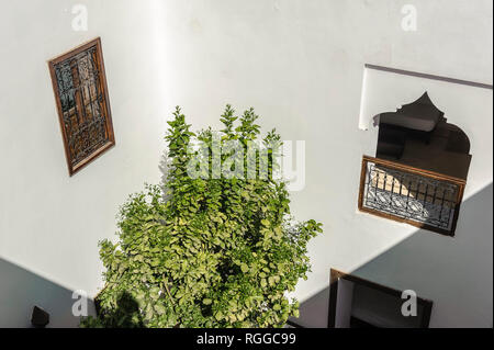 05-03-15, Marrakech, Marocco. Il Riad Porte Royale. Un arancio albero che cresce nel cortile, tra la finestra di una camera da letto e di aprire il passaggio a volta del Foto Stock