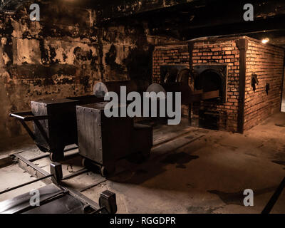 Interno del crematorio, concentrazione di Auschwitz e lo sterminio camp, Oswiecim, Polonia Foto Stock