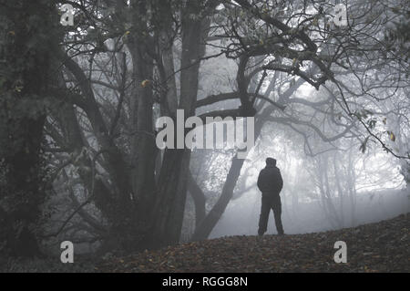 Un lone spooky incappucciati figura in piedi su un percorso in un bosco invernale su un nebbioso giorno. Con un muto, granulose modifica. Foto Stock