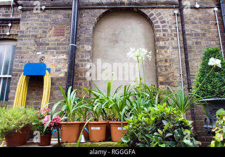 Urban garden center, Italian Garden Center, Turnham Green, Londra Foto Stock