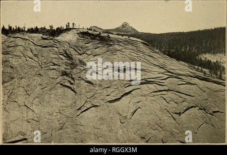 . Bollettino della Geological Society of America. La geologia. Figura 1.- mezza cupola all estremità orientale della valle di Yosemite, visto da sud. Figura 2.-parte della parete sud-est della piccola valle di Yosemite, che mostra la struttura a cupola Struttura della cupola nella regione di Yosemite. Si prega di notare che queste immagini vengono estratte dalla pagina sottoposta a scansione di immagini che possono essere state migliorate digitalmente per la leggibilità - Colorazione e aspetto di queste illustrazioni potrebbero non perfettamente assomigliano al lavoro originale. Geological Society of America. [New York : La società] Foto Stock