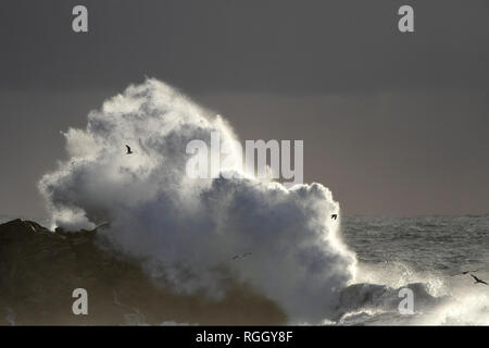 In autunno e in inverno la tempesta di mare al tramonto luce con spray e splash da big Atlantic di onde che si infrangono contro la scogliera. A nord della costa portoghese. Soft back Foto Stock