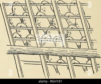 . Bollettino dell'Essex Institute. Essex Institute; Storia Naturale; genealogia. 58 Sulle vecchie forme di in un lavoro interessante da Thomas Wright sui case di altri giorni molte riproduzioni di antichi disegni di sassone e Norman tempi sono forniti dal quale alcuni accenni di tipi di tegole in uso può essere trovato. Dalla Harleian MS. risalente al IX secolo, un'immagine è dato di una casa anglosassone ; in questo quadro una varietà di tegole sono mostrati, la più cospicua delle quali è la tegola normale. Il piatto tegola romana è anche dato, e un'altra forma simile a round-terminato flat Foto Stock