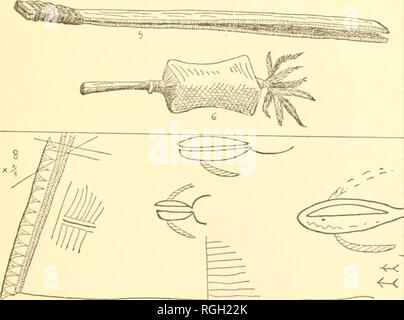 . Bollettino dell'Essex Institute. Essex Institute; Storia Naturale -- periodici; contea di Essex (messa. ) -- La storia dei periodici. riof^^^a^.3e. Si prega di notare che queste immagini vengono estratte dalla pagina sottoposta a scansione di immagini che possono essere state migliorate digitalmente per la leggibilità - Colorazione e aspetto di queste illustrazioni potrebbero non perfettamente assomigliano al lavoro originale. Essex Institute. Salem, messa. , Istituto di Essex Foto Stock