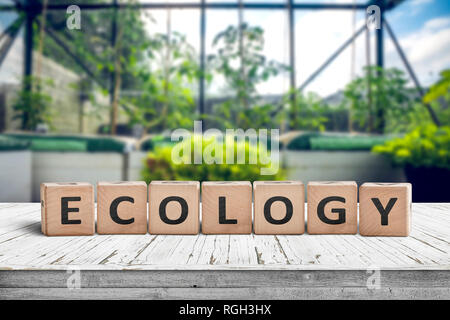 Ecologia segno su una tavola di legno in un verde con fresche piante verdi Foto Stock