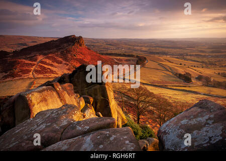 Hen nube dal scarafaggi in luce dorata al tramonto Foto Stock