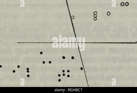 . Bollettino della British ornitologi' Club. Bollettino B.O.C. 71 Vol. 86 *Halcyon chloris Boddaert. Mangrove Kingfisher. Solo gli uccelli sono stati osservati nelle seguenti date, 8 maggio, 6 giugno e 20 settembre 1962, e il 26 settembre, 1963. *Lanius cristatus Linnaeus. Brown Shrike. Uno vede il 7 aprile, 1962. Riferimenti : Andrews, C. W. 1900. Una monografia di Isola di Natale. British Museum. Gibson-Hill, C. A. 1947. Note su gli uccelli dell Isola di Natale. Bollettino del Raffles Museum, No. 18: 87-165. Alexander, W. B. 1955. Gli uccelli dell'oceano. Voous, K. H. 1964. Note su una collezione di uccelli da Ch Foto Stock