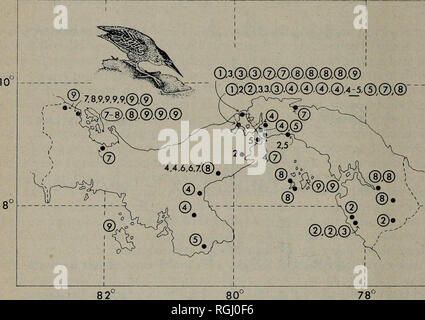 . Bollettino della British ornitologi' Club. apparentemente sono stati identificati senza la raccolta dei volatili da riproduzione; Van Tyne (1950) e Wetmore (1965: 87-88) attributo tutti i volatili di allevamento vi al tamburo intermedio, di colore bruno-grigio della popolazione. Gli uccelli presi da aprile a settembre sull'istmo a ovest della zona del canale (molti raccolti di recente da A. Wetmore) sono tutti intermedio nel collo di colore tra il western Panama virescens e sud americana striatus. Il campione a partire dal codice, 80 km a ovest della zona del canale, medie più scuro del campione nonwinter dalla zona del canale stesso (colore punteggi di 7, Foto Stock