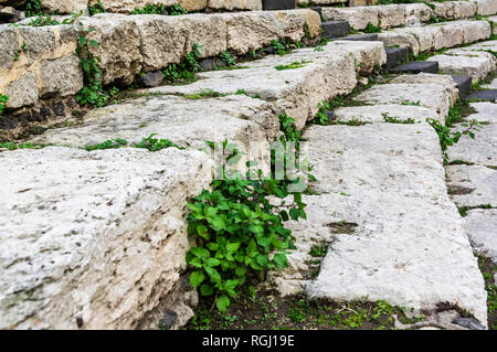 Close up su antico anfiteatro romano di gradini di pietra Foto Stock