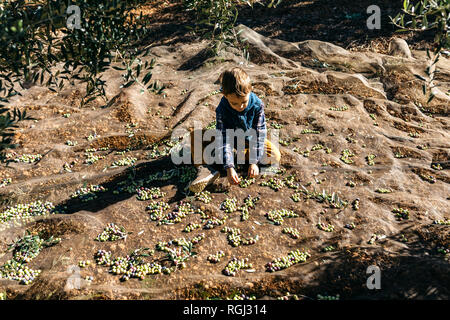 Ragazzo giocando con olive in campi di olivi Foto Stock