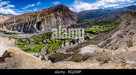 Panoramica vista aerea sulle case e il settore agricolo nei dintorni del villaggio con verdi campi di orzo, colorato ripide pareti rocciose in dista Foto Stock