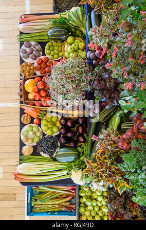 Ampia varietà di prodotti freschi caserecci produrre (frutta, ortaggi e piante) visualizzato in corrispondenza dei giardinieri visualizza, Burley in Wharfedale, West Yorkshire, Inghilterra, Regno Unito. Foto Stock